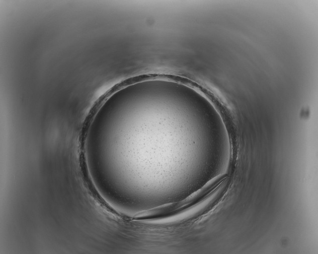 X0000094381264200711091553