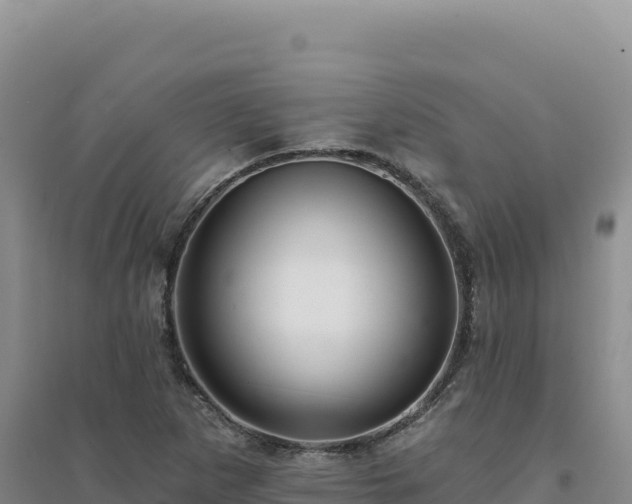 X0000094381265200711091553