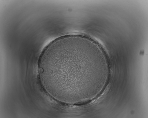 X0000094381267200711091553