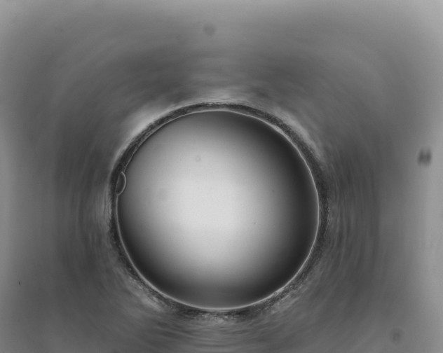 X0000094381270200711091553