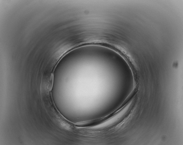X0000094381273200711091553