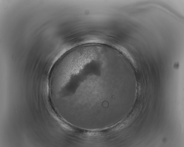 X0000094381274200711091553