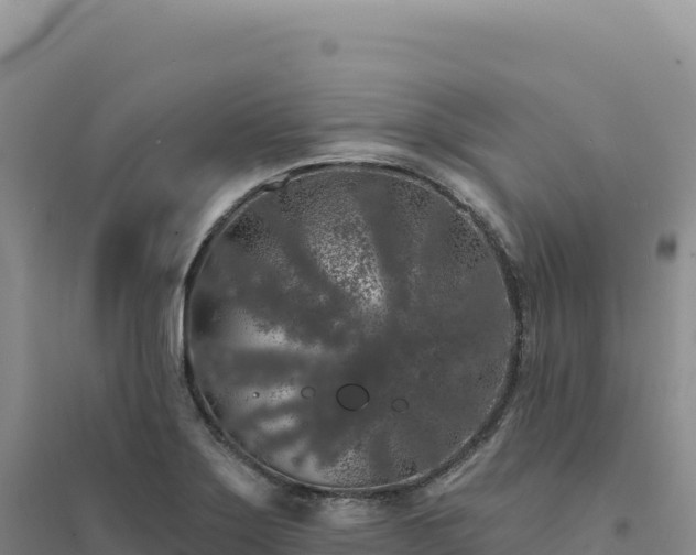 X0000094381275200711091553