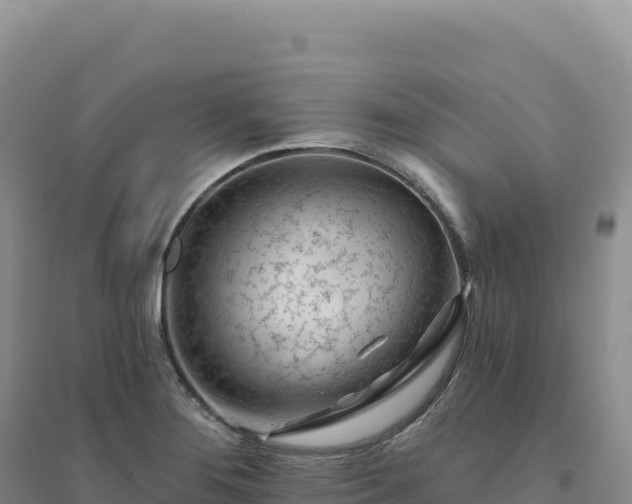 X0000094381276200711091553