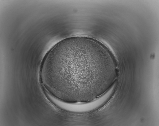 X0000094381277200711091553
