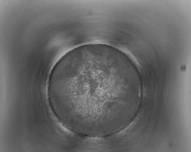 X0000094381278200711091553