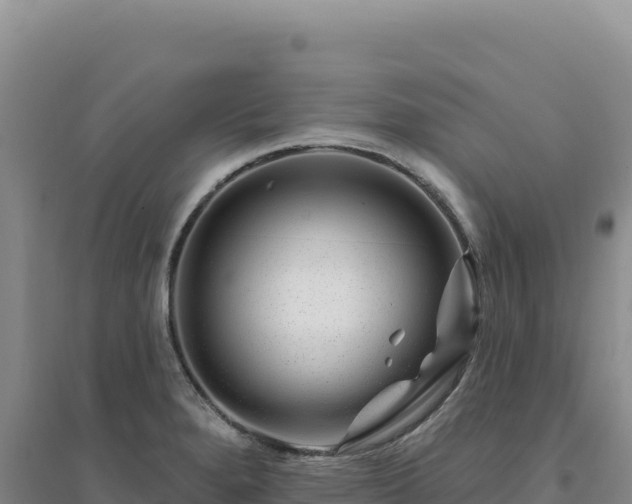 X0000094381280200711091553