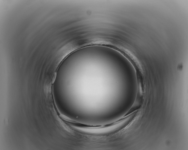 X0000094381281200711091553