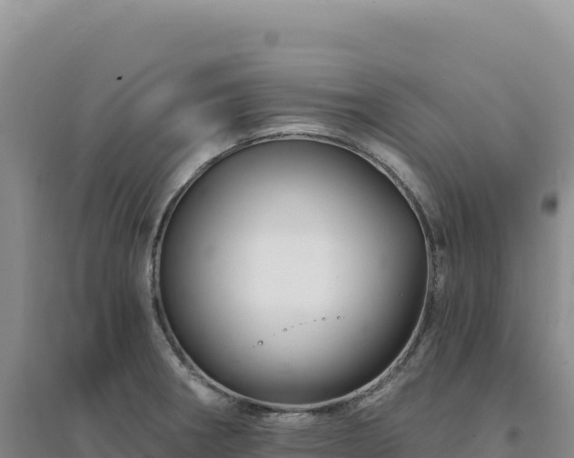 X0000094381282200711091553