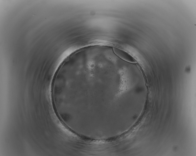 X0000094381283200711091553
