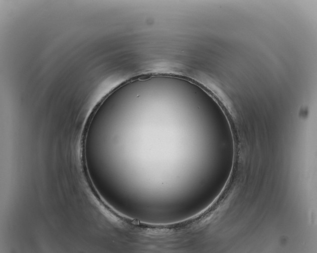 X0000094381285200711091553
