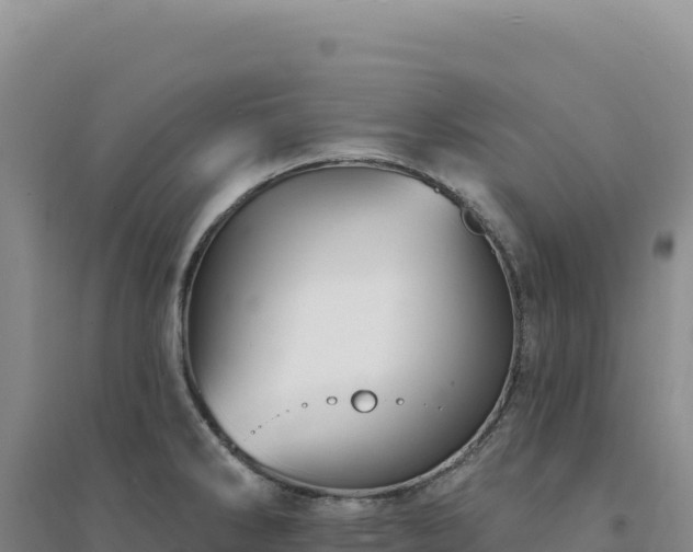 X0000094381286200711091553