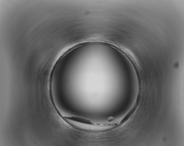 X0000094381288200711091553