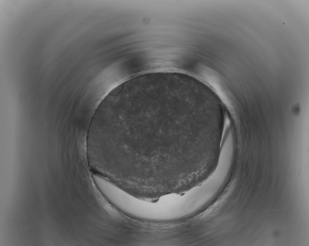 X0000094381289200711091553