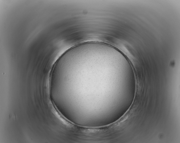 X0000094381290200711091553