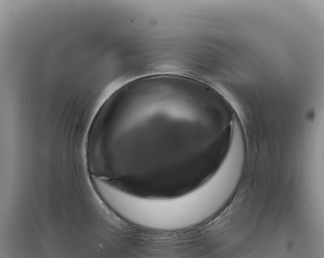 X0000094381291200711091553
