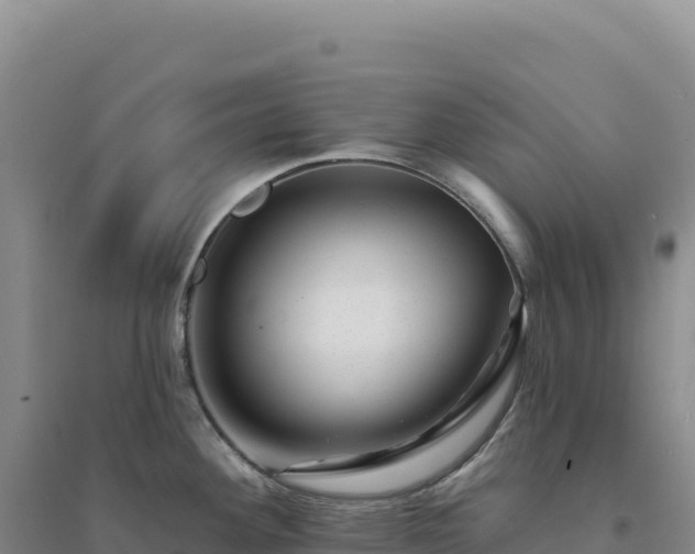 X0000094381292200711091552