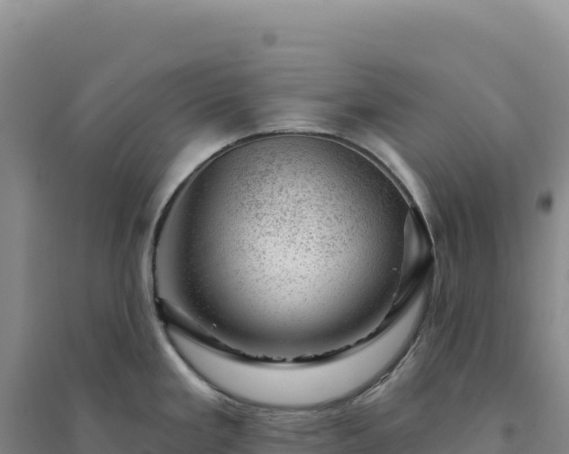 X0000094381293200711091552