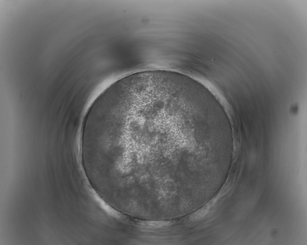 X0000094381294200711091552