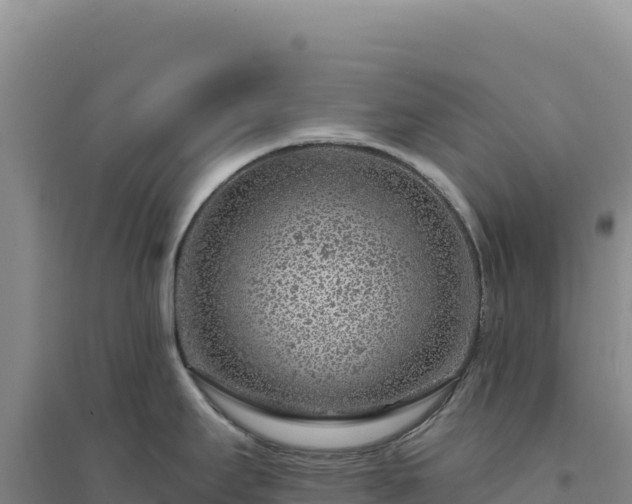 X0000094381295200711091552