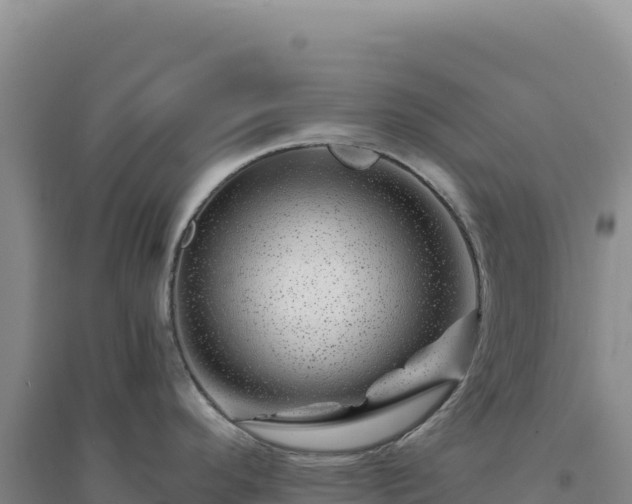X0000094381296200711091552