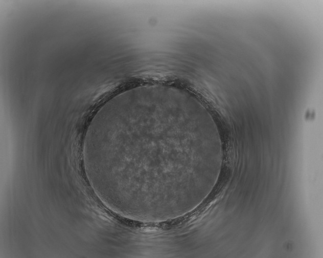 X0000094381297200711091552
