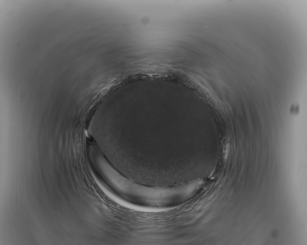 X0000094381298200711091552