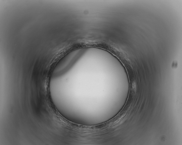 X0000094381300200711091552