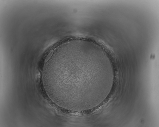 X0000094381302200711091552
