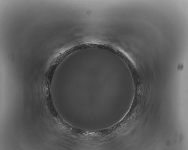 X0000094381303200711091552