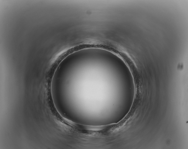 X0000094381304200711091552