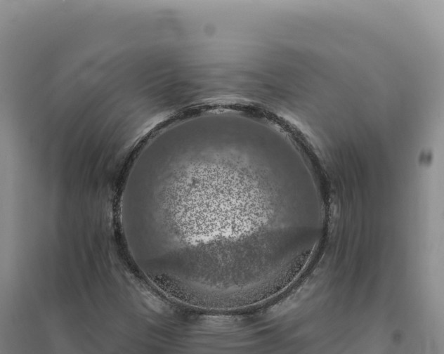 X0000094381305200711091552