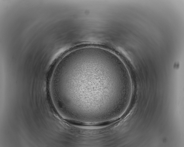 X0000094381307200711091552