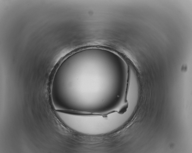 X0000094381308200711091552