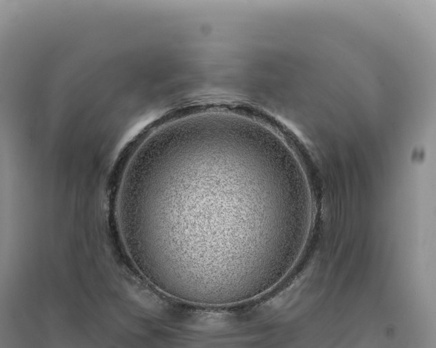 X0000094381309200711091552