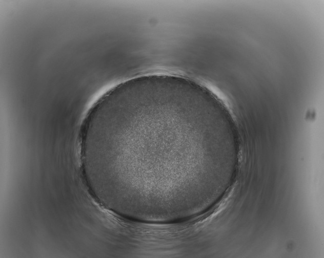 X0000094381310200711091552