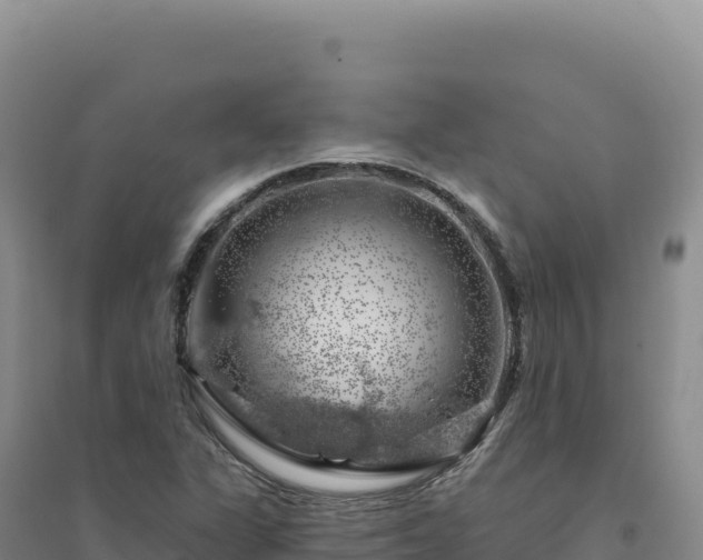 X0000094381311200711091552