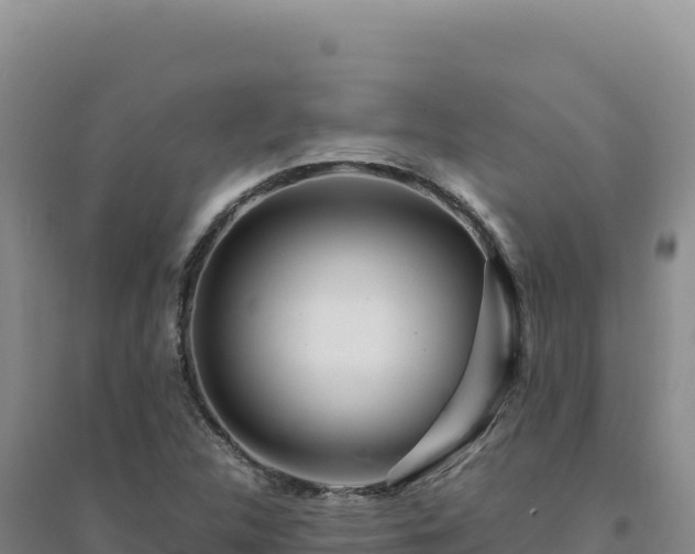 X0000094381312200711091552