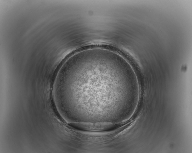 X0000094381313200711091552