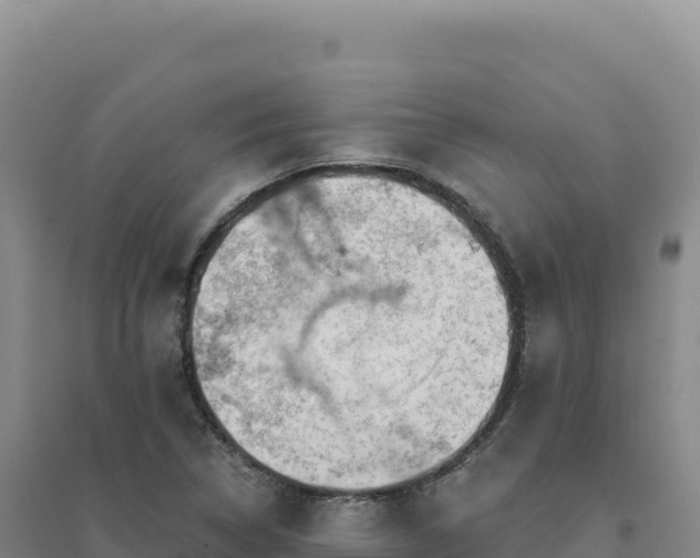 X0000094381314200711091552