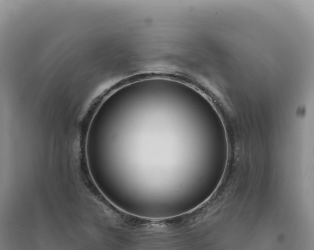 X0000094381315200711091552