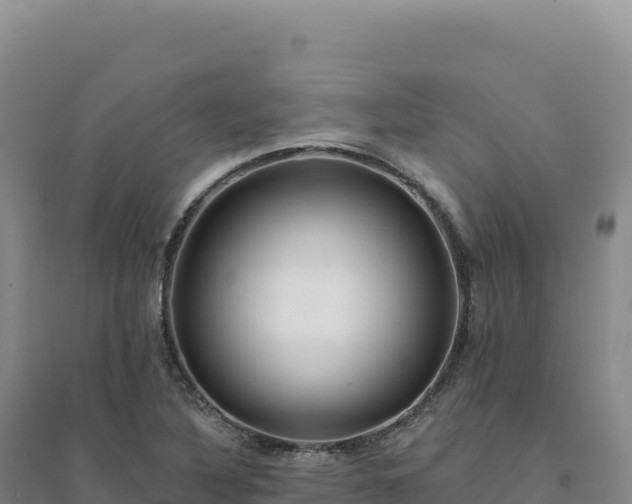 X0000094381316200711091552