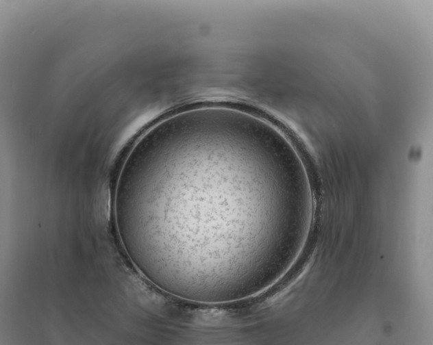 X0000094381317200711091552