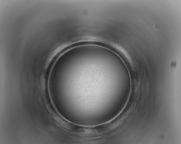 X0000094381318200711091552