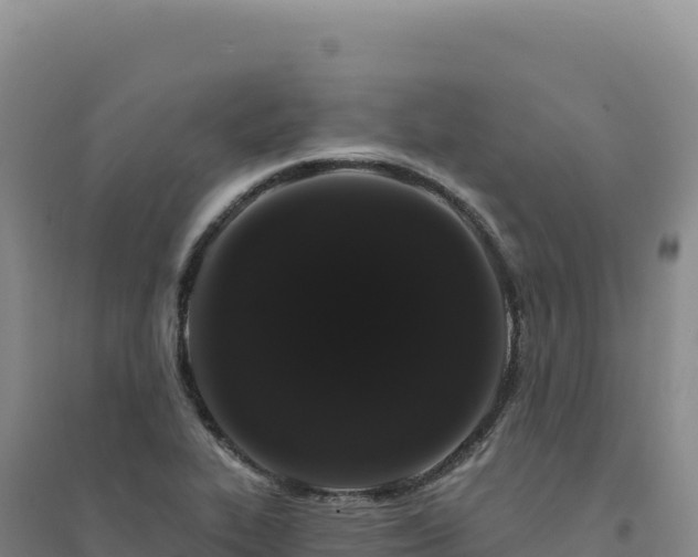 X0000094381319200711091552