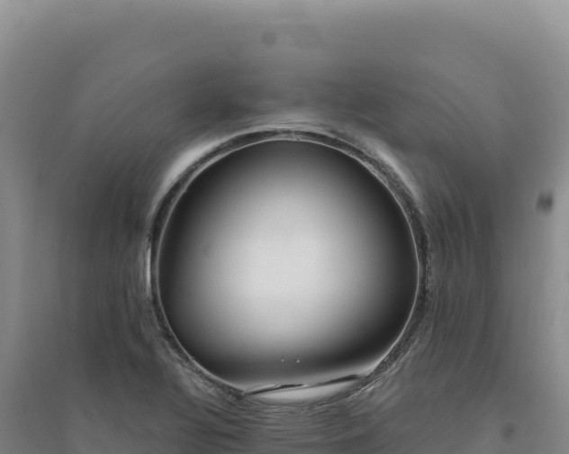 X0000094381320200711091552