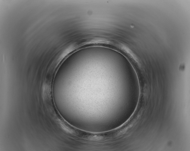 X0000094381321200711091552