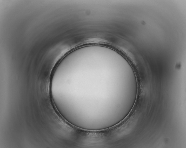 X0000094381322200711091552