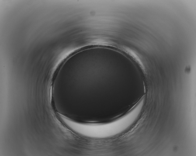 X0000094381323200711091552
