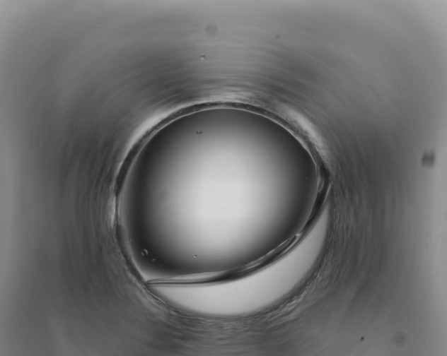 X0000094381324200711091552